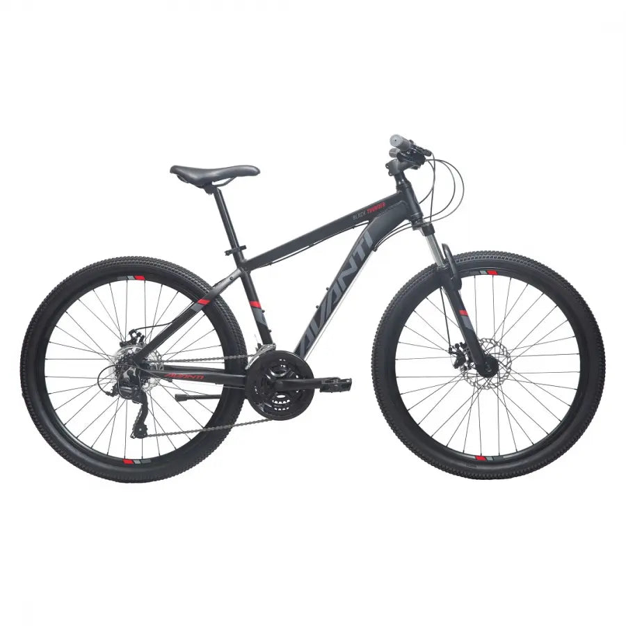 AVANTI BLACK THUNDER 1 MOUNTAIN BIKE