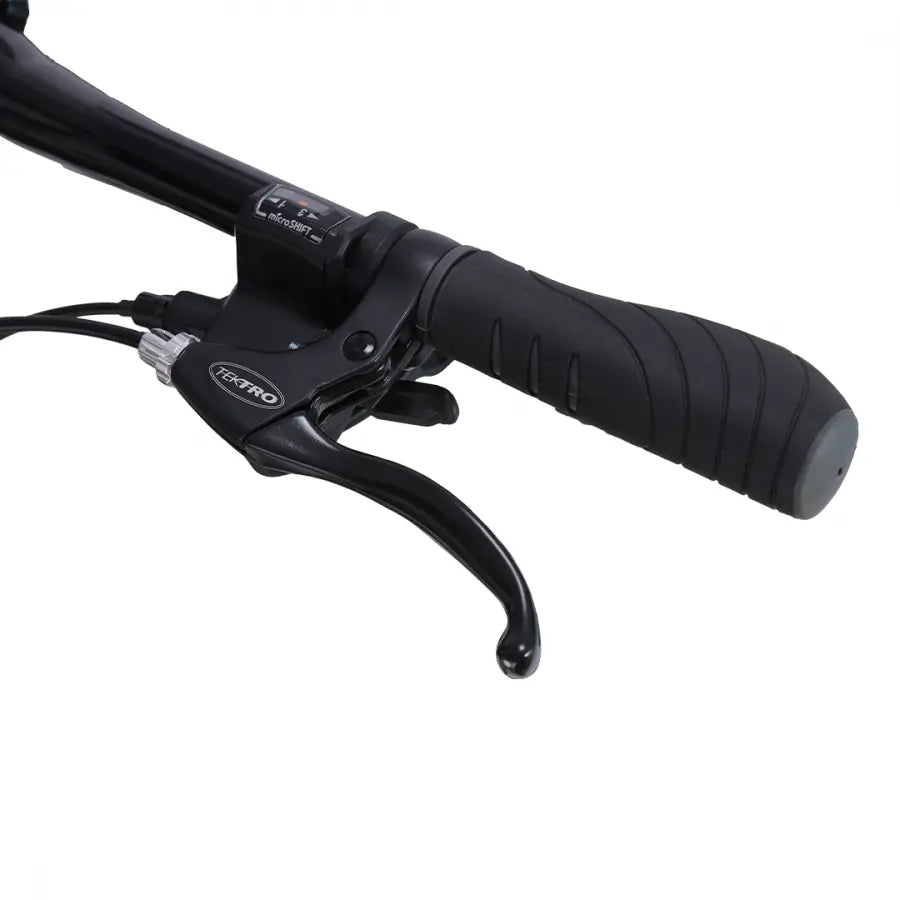 AVANTI DISCOVERY MS 1 GREEN LOW TREKKING BIKE