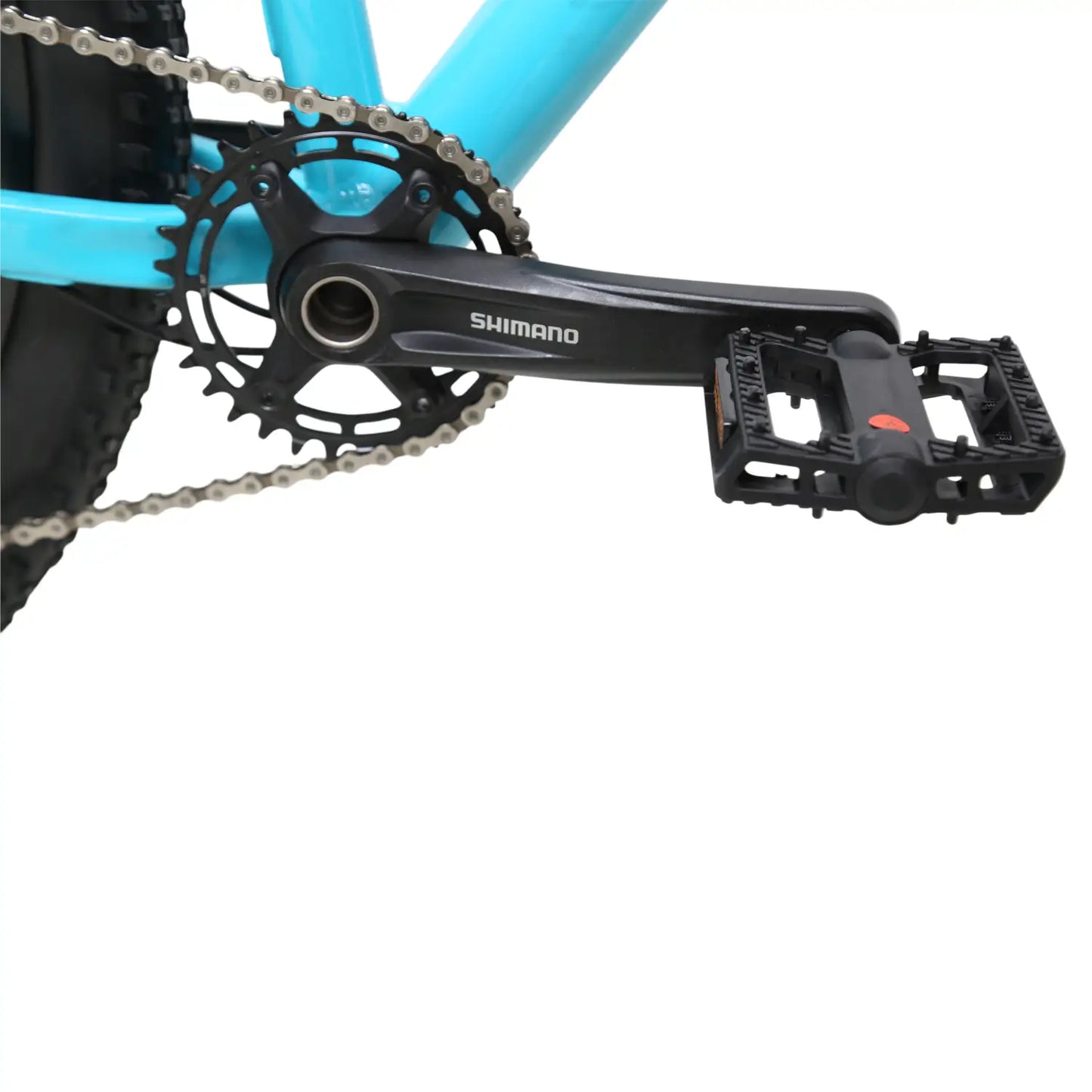 Bonzai Spear12 XC MTB