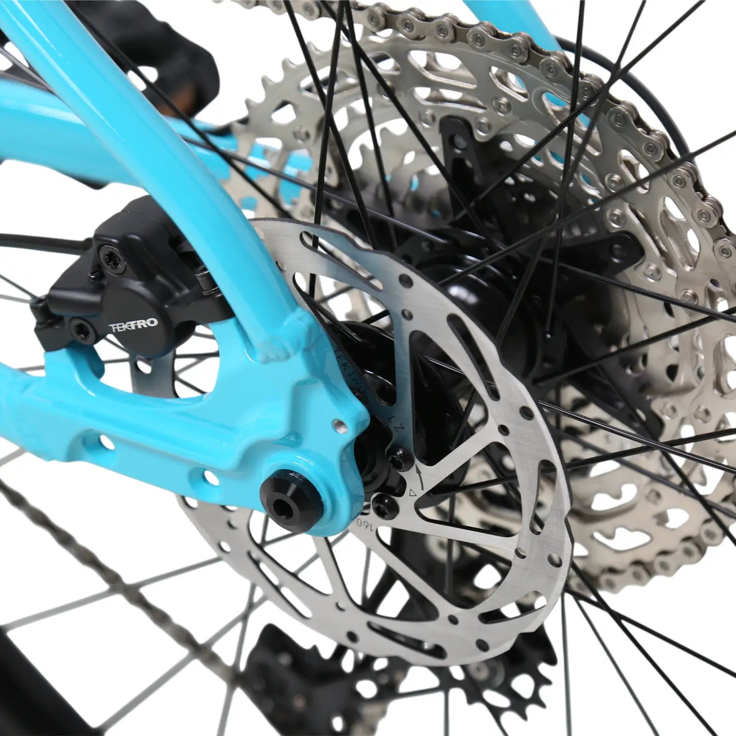 Bonzai Spear12 XC MTB