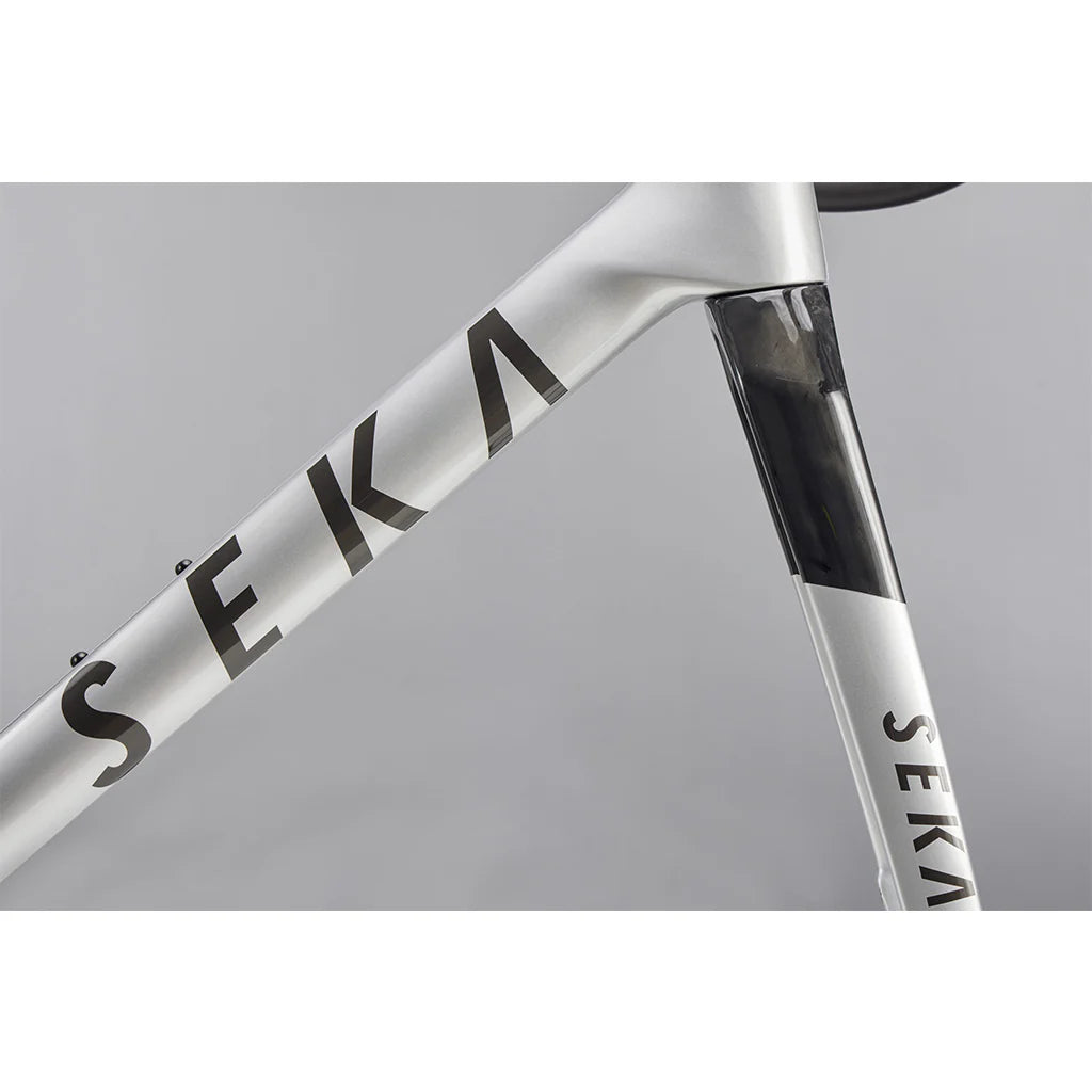 Sela Spear Frameset (Achromatic Silver)