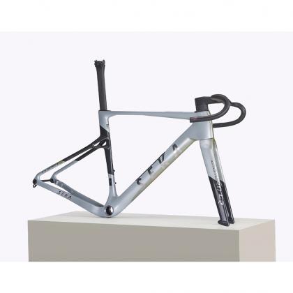 Seka ExAero GR RDC Frameset-Stardust Silver