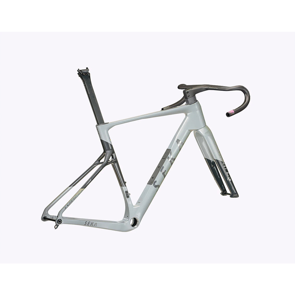 Seka ExAero GR RDC Frameset-Stardust Silver