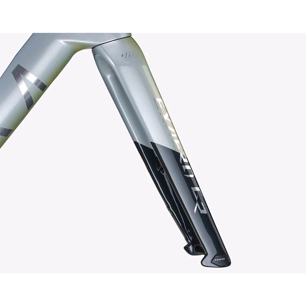 Seka ExAero GR RDC Frameset-Stardust Silver
