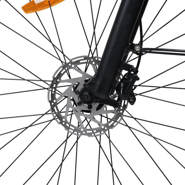 AOKI LYNX HT (CARBON BLACK )