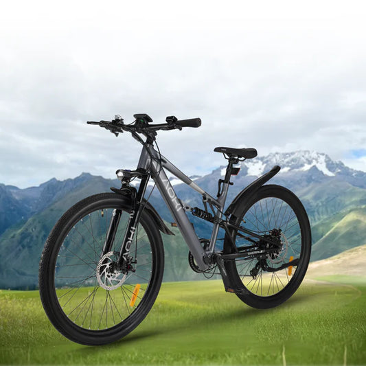 AOKI SHERPA Z1 (GREY )