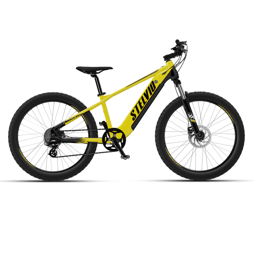 Vaan Stelvio Electric MTB Bike