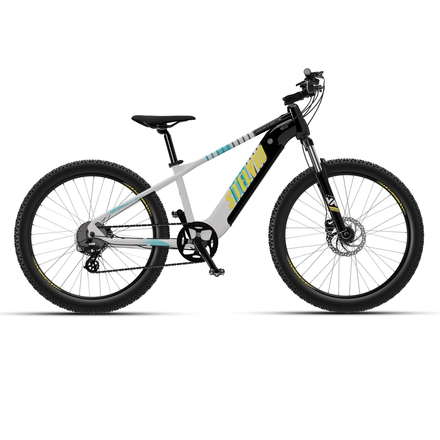 Vaan Stelvio Electric MTB Bike