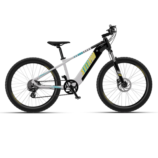 Vaan Stelvio Electric MTB Bike