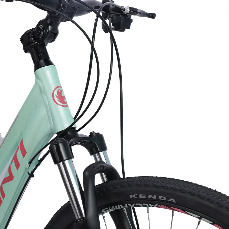 AVANTI DISCOVERY MS 1 GREEN LOW TREKKING BIKE
