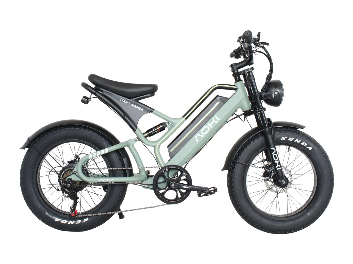 Aoki Street Mamba Fat-Tyre Electric Cycle (Vapor Green)