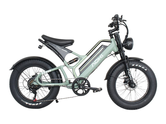 Aoki Street Mamba Fat-Tyre Electric Cycle (Vapor Green)