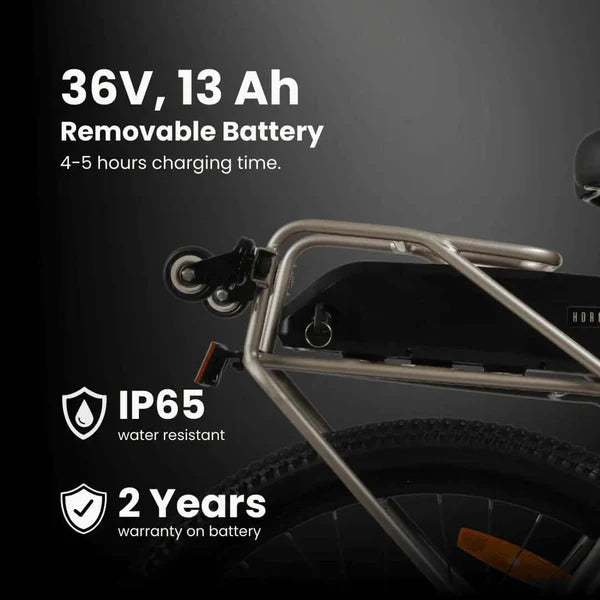 Hornback X1 Pro V2