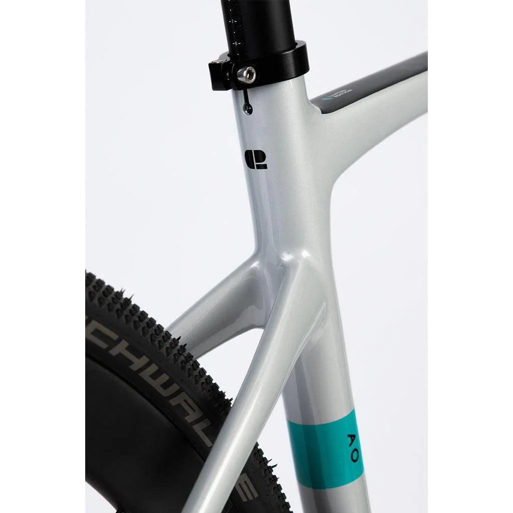 Chapter 2 AO Disc Brake Frameset (Silver Matt)