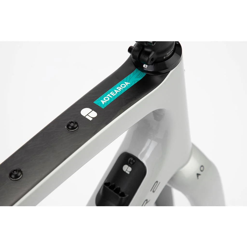 Chapter 2 AO Disc Brake Frameset (Silver Matt)