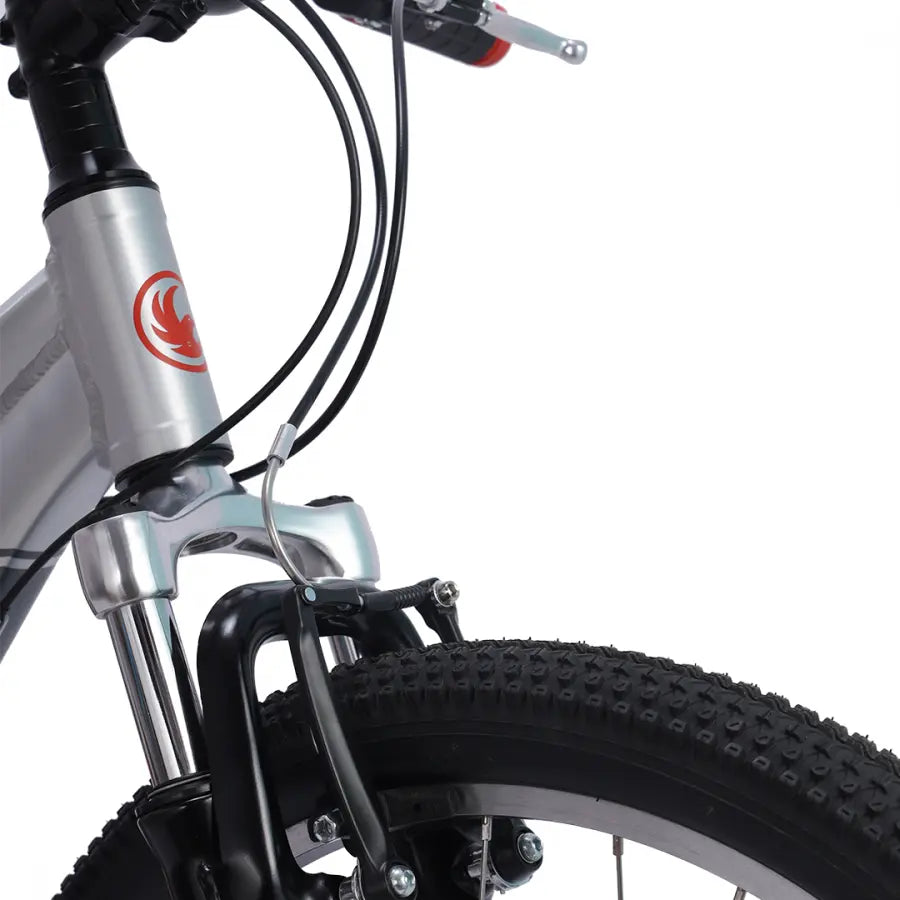 AVANTI SHADOW 24 POLISHED KIDS BIKE