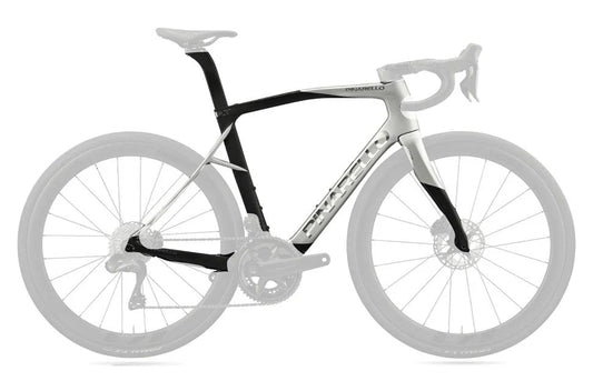 Pinarello X9 Disc Road Frameset (Xspeed Saturn Silver)