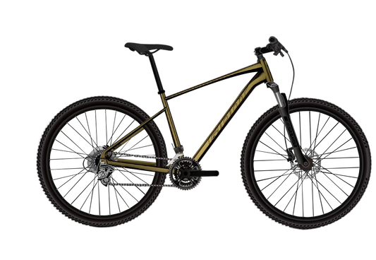 Roam 2 Disc - GU - Pyrite Brown