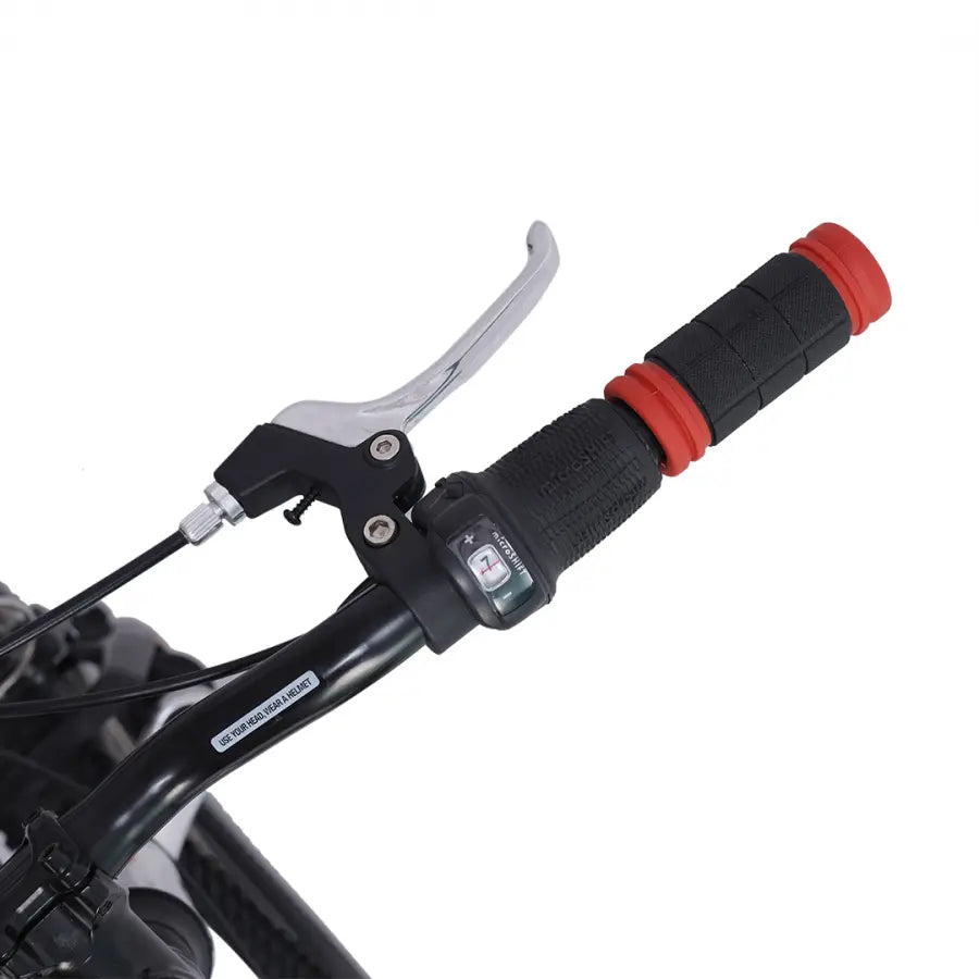 AVANTI SHADOW 24 POLISHED KIDS BIKE