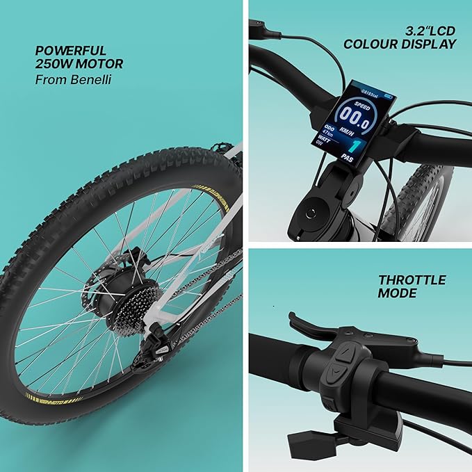 Vaan Stelvio Electric MTB Bike