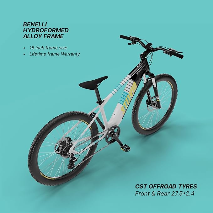 Vaan Stelvio Electric MTB Bike