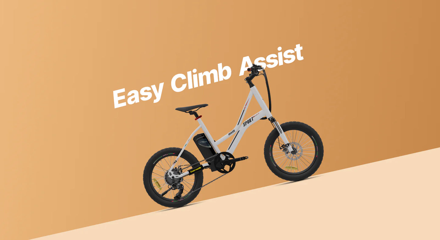 Vaan Urbansport Lite E-Bike