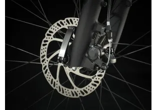 Trek Dual Sport 1 - Lithium Grey - Gen 4
