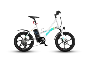 Vaan Urbansport Pro E-Bike (White)
